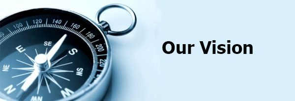 COMPANY VISION